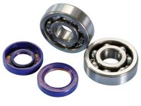 crankshaft bearing set Polini for Rieju RRX 50 06-09 (AM6)