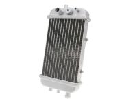 radiator for Derbi Senda 50 R DRD Pro 05-11 (D50B) [VTHSA1A1A]