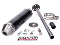 muffler Giannelli carbon for Derbi GPR 50 Nude, Racing 50, Aprilia RS 50