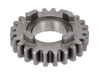 5th speed primary transmission gear TP 24 teeth 2nd series for Rieju Tango 50 with aluminum rims 10- (AM6)