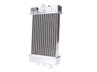 radiator handcrafted for Derbi Senda 50 R DRD Pro 05-11 (D50B) [VTHSA1A1A]