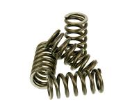 clutch spring set Malossi MHR reinforced for slightly tuned engines for Rieju RR 50 01-02 (AM6)
