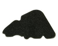 air filter foam replacement for Liberty 125 2V Post France 07- [ZAPM38603]